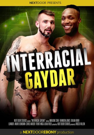 INTERRACIAL GAYDAR