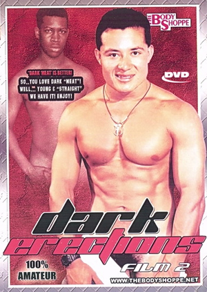DARK ERECTIONS # 2