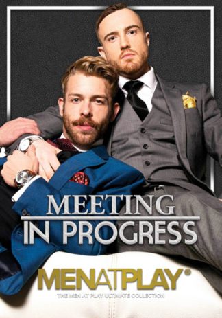 Meeting In Progress