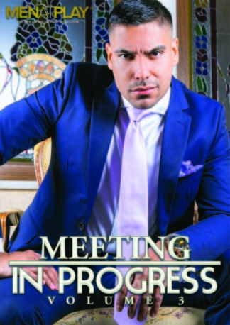Meeting in Progress 3